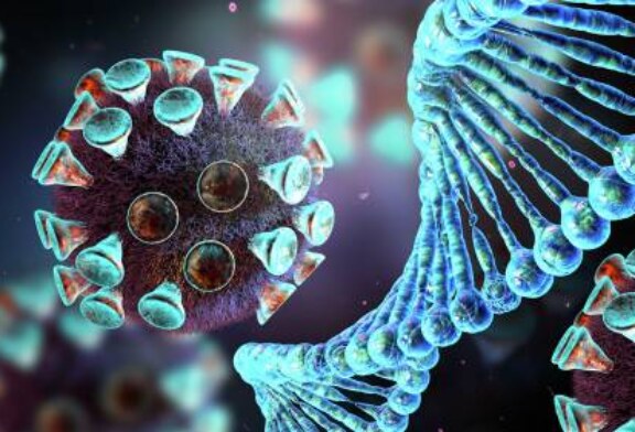 Ученые создали клетки с искусственным геномом, устойчивые к вирусам