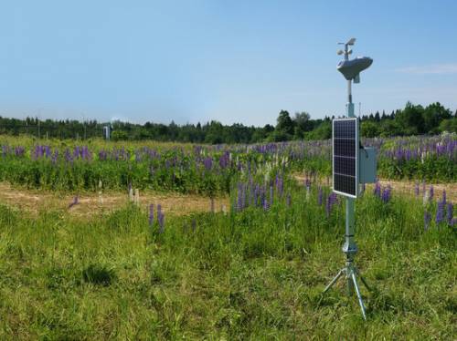 В Ботаническом саду МГУ появилась метеостанция, которая подскажет время полива растений