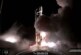 Американская компания SpaceX вывела на орбиту спутник SXM-8