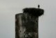 Под Калининградом снесли водонапорную башню вместе с гнездом аиста
