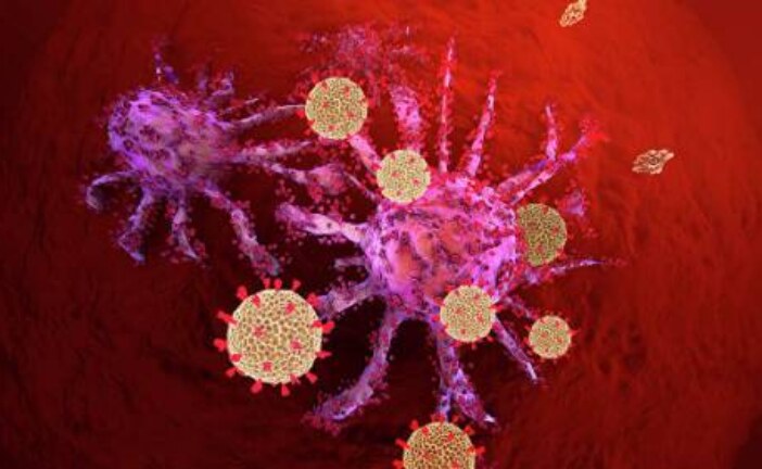 COVID-19 против рака. Когда иммунитет сам убивает опухоль