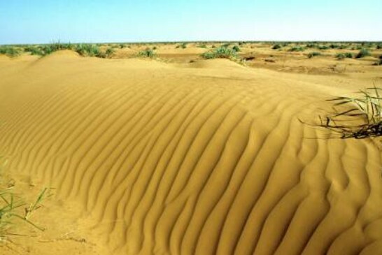 Остановить растущую пустыню позволит проект российских ученых