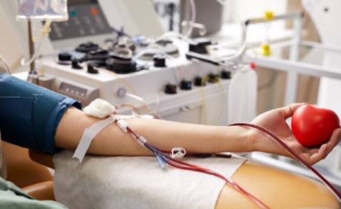 «Кровная честь»: как стать донором крови и плазмы в России