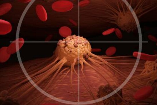 Ученые успешно испытали препарат, убивающий раковые клетки
