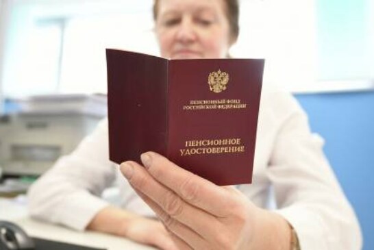 Депутат Госдумы предложил лишить пенсии одну из категорий россиян