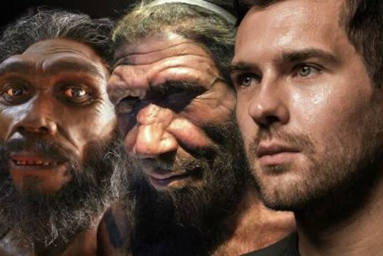 Получены новые данные о происхождении неандертальцев и денисовцев