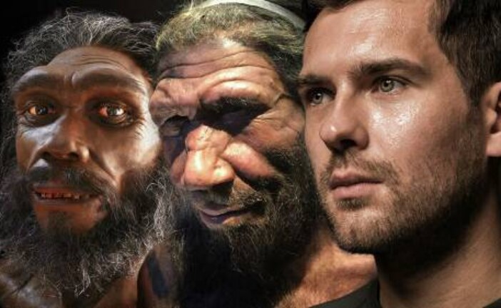 Получены новые данные о происхождении неандертальцев и денисовцев