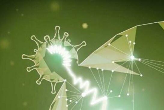 Ученые нашли способ остановить репликацию коронавируса
