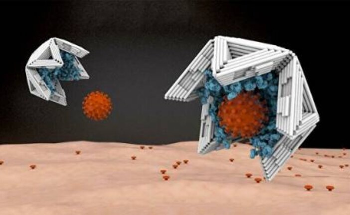 Ученые разработали нанокапсулы для улавливания вирусов