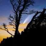 В Самаре создают методику, предсказывающую гравитацию астероидов и комет