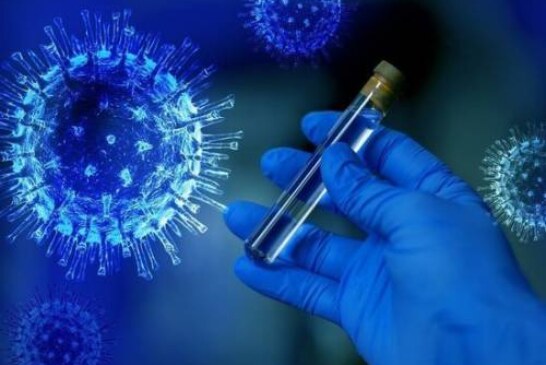 Ученые сняли видео, на котором видно, как коронавирус распространяется в организме и поражает органы