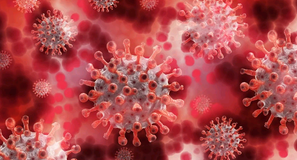 В США представили доклад о лабораторном происхождении коронавируса
