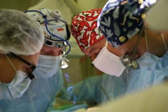 Российские онкологи заставили человеческий мозг функционировать вне тела