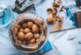 Грецкие орехи нормализуют уровень «плохого» холестерина в крови