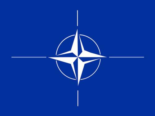 Сатановский высмеял претензии генсека НАТО к России