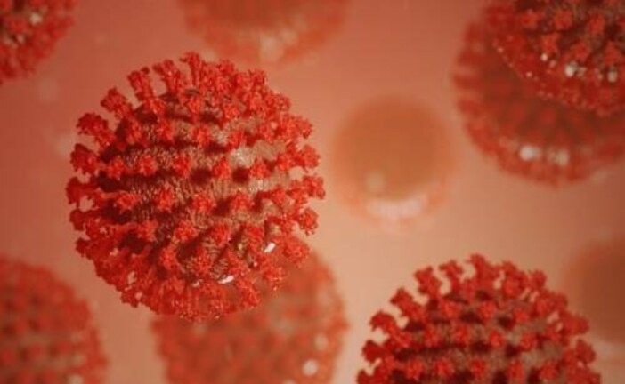 Человечеству объяснили важность находки истоков пандемии коронавируса