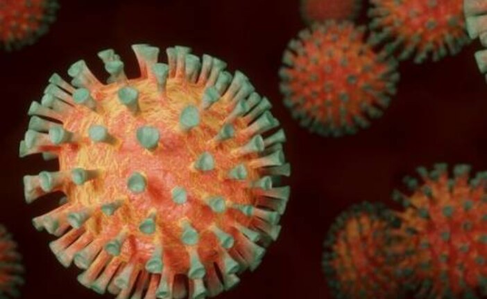 ВОЗ вынесла вердикт новому штамму коронавируса «Омикрон»