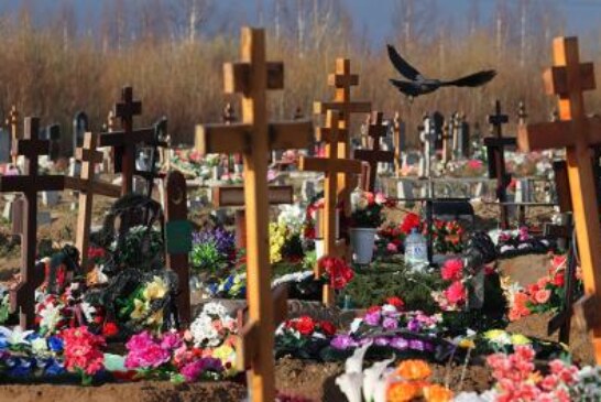 Сколько же за год в России появилось новых гробов и крематориев?