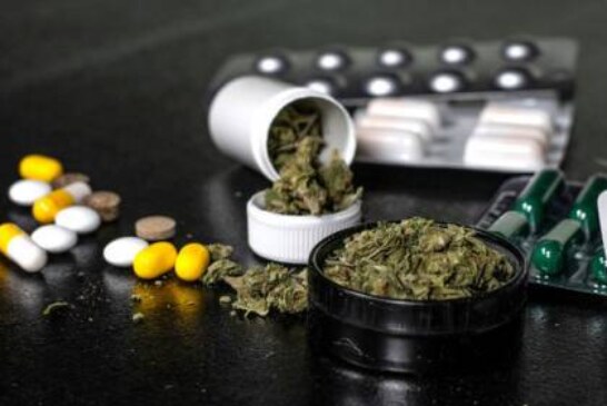 Употребление марихуаны может мешать лечению почек