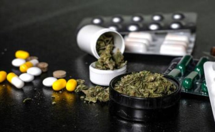 Употребление марихуаны может мешать лечению почек