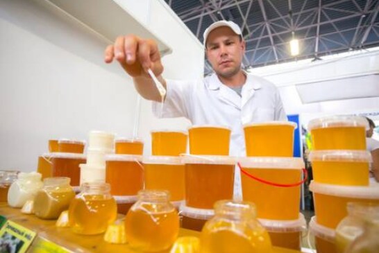 В закон «О пчеловодстве» внесли понятие натурального меда