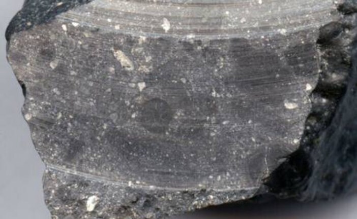 Поиск следов жизни на марсианском метеорите вызвал споры ученых