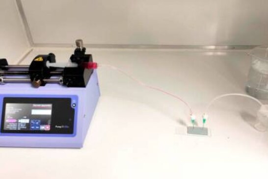 Новый биочип упрощает изготовление кожи в лаборатории