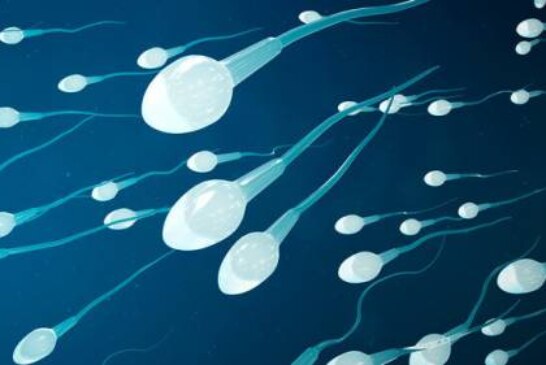 Ультразвук повышает подвижность сперматозоидов и шансы на беременность