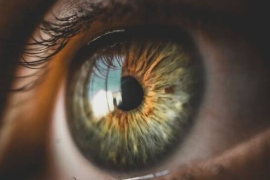 Московские ученые создали искусственный глаз