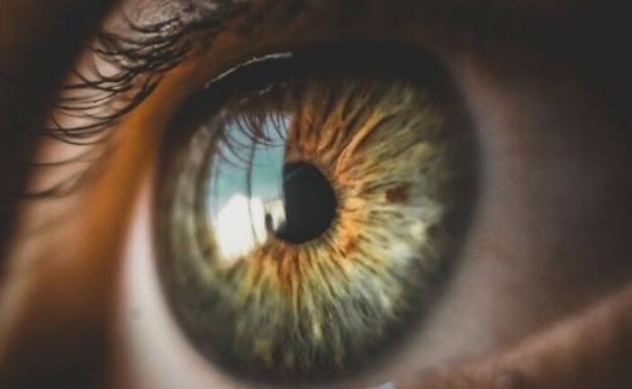 Московские ученые создали искусственный глаз
