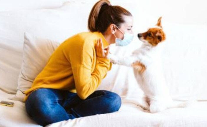 Всего 10 минут общения с собакой уменьшают тревогу и депрессию