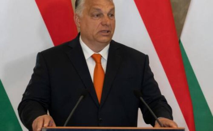 Политологи оценили, поссорит ли Россия Польшу и Венгрию