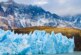 Профессор Покровский оценил опасность заражения доисторическими вирусами из ледников