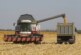 Российский урожай оказался под угрозой из-за запретов для сельхозавиации